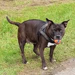 Steve Ansell - @steve.ansell.7796 - Instagram