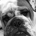 Steve Ansell - Facebook