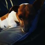Steven Appleton - @steven.appleton.750 - Instagram