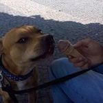 Steven Aron - @stevenaron6943 - Instagram