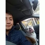 Steven Arpi - @steven_arpi - Instagram