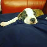 Steven Arrington - @stevenarrington1220 - Instagram