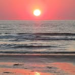 Steven Aarts - Facebook