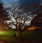 Steven Ashdown - Facebook