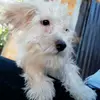 Steven Avila - @steven.avila01 - TikTok