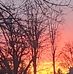 Steven Babiarz - Facebook
