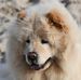 Steven Baert - Facebook