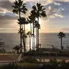 Steven Haeghebaert - @stevenhaeghebaert63 - TikTok