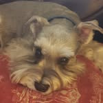 Steve Baggett - @jstbtt78 - Instagram