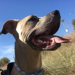Steven Baggett - @cloviswilhelm - Instagram