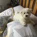 Steve Balch - Facebook