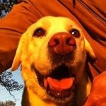 Steve Banach - @smbanach - Instagram