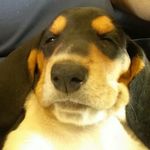Steven Banach - @banach_space_ - Instagram