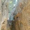 Steven Bara - @steven.bara7 - TikTok