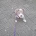 Steven Lorenzo Barbier - Facebook