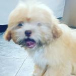 andy argueta - @barca_steven_503 - Instagram