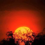 Steve Bardsley - @stevenbardsley1 - Instagram