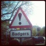 Steven Barratt - @stevenbarratt - Instagram