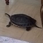 Steven Barrier - @steven.barrier.359 - Instagram