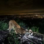 Steven Bartholomew - @steven.bartholomew.3538 - Instagram