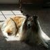 Steven Barth - Facebook