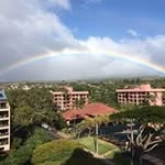 Steven Bartholomew - @bartholomew_steven - Instagram
