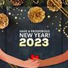 Steve Baruch - @steve.baruch - TikTok