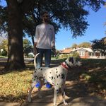 Steven Bash - @smbash - Instagram