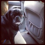 Steven Bash - @steven_bash1 - Instagram