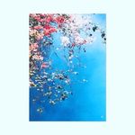 Steven Bash - @sbash1591 - Instagram