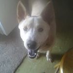 Steve Batson - @steve.batson.79 - Instagram