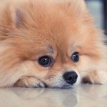 Steve Batson Wetteyson - @stevewetteyson - Instagram