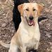 Steven Batson - Facebook