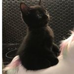 Steven Batson - @jkidc321 - Instagram