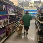 Steve Baxley - @palmetto_service_dogs - Instagram