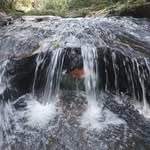 Steven Bay - @stevnbay - Instagram