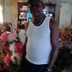 Steve Baynes - @baynes.steve - Instagram