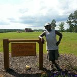 Steve Baynes - @stevebaynes1 - Instagram