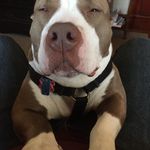 Steven Beane - @stevenbeane - Instagram