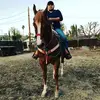 Steven Bebout - @31041498889 - TikTok
