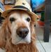 Steve Bechtold - Facebook