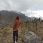 John Steven Bedoya - @steven_bz - Instagram