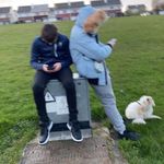 Stephen Behan - @stephenbehan99 - Instagram