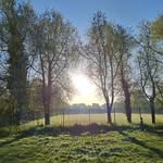 Stephen Behan - @under_the_rowan_pod - Instagram