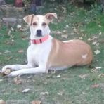 Steve Beitzel - Facebook