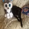 Steven belliveau  - @steven3412 - TikTok