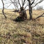 Steven Bellows - @stevenbellows - Instagram
