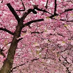 Steven Benge - @benge_steven - Instagram