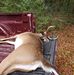 Steven Benton - Facebook