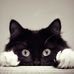 Stefan Bergen - Facebook